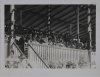 Fotografía del rey Alfonso XIII en las tribunas del circuito de Lasarte